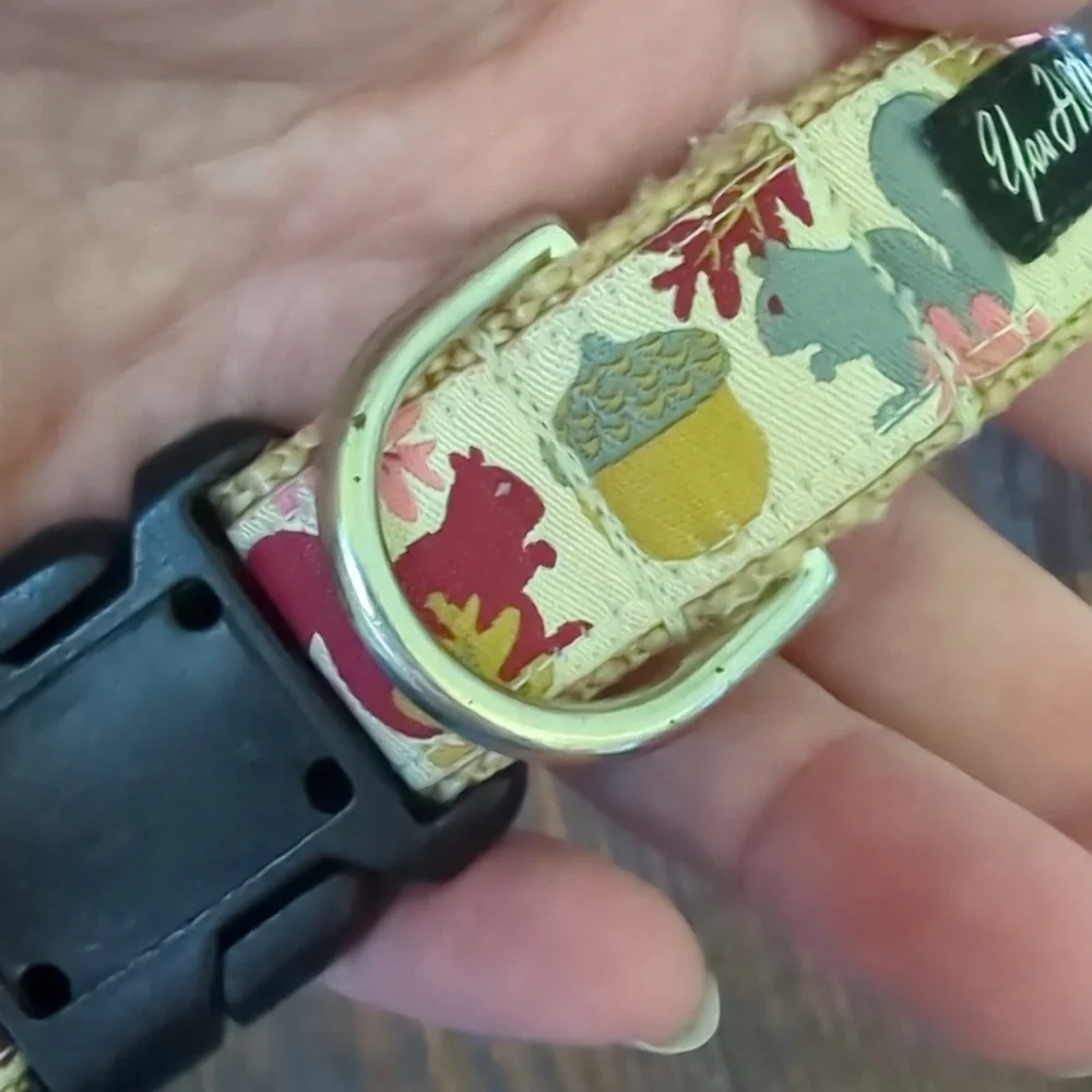 YOU HAD ME AT WOOF I Fall Autumn Squirrel Themed Dog Leash and Collar from Etsy